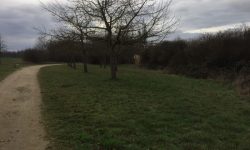 Projektnummer 03-2019 – Hochheim/Flörsheim
