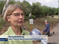 Im Hessenfernsehen – 10.07.2020