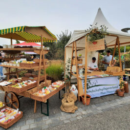 Sonntag, 21.09.2025 von 12.00 – 17:00 Uhr Apfelmarkt am Naturschutzhaus Weilbacher Kiesgruben