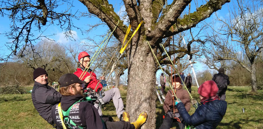 Neuer Baumwartkurs startet im Januar 2026 – Anmeldung bis Oktober 2025 möglich.