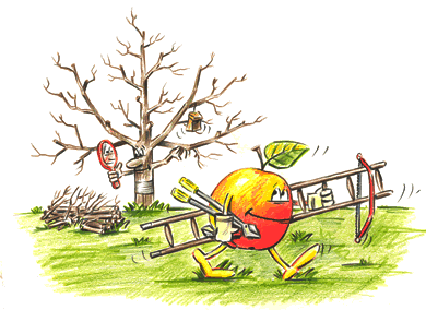 5_pommy_mit_leiter 5_pommy_mit_leiter