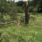 Sturm- und Unwetterschäden