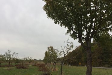 Projektnummer 04-2018 – Hofheim-Langenhain