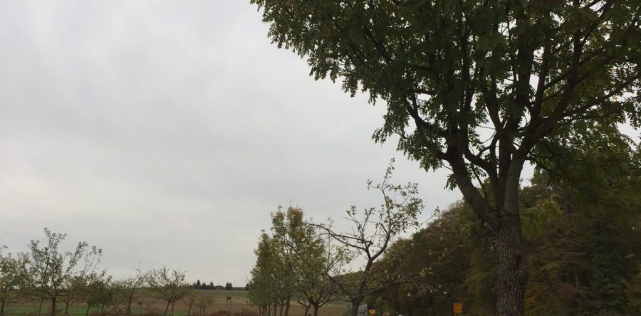 Projektnummer 04-2018 – Hofheim-Langenhain