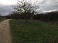 Projektnummer 03-2019 – Hochheim/Flörsheim