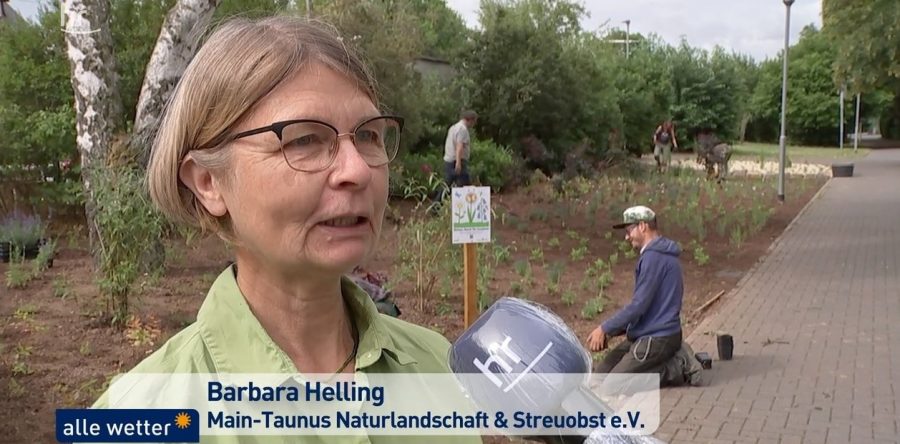 Im Hessenfernsehen – 10.07.2020
