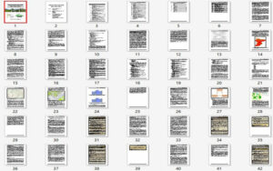 Biotopvernetzungskonzept Main-Taunus-Kreis Text Biotopvernetzungskonzept Main-Taunus-Kreis Text
