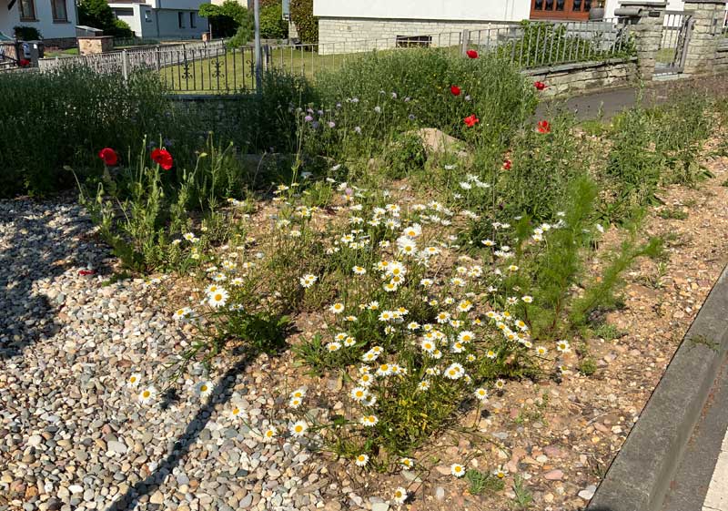 Diedenbergen