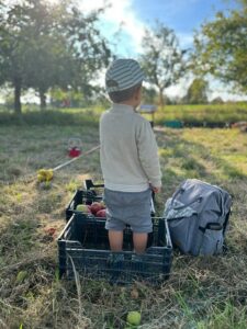 2023-09-15 Familienerntetage 11