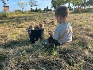 2023-09-15 Familienerntetage 9