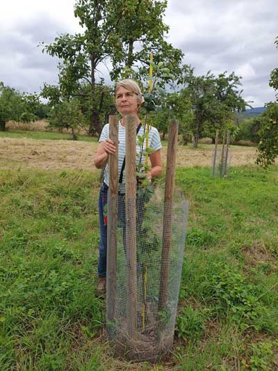 Vortrag mit der Streuobst-Expertin Barbara Helling