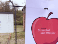 Workshop: Wie kommt das Wasser an den Baum – Regionalpark RheinMain