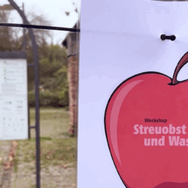 Workshop: Wie kommt das Wasser an den Baum – Regionalpark RheinMain